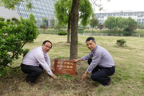 留下一抹绿,同怀母校情——2014届英语、英语教育专升本班全体校友认捐“校友林”班级树1.jpg